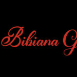 Bibiana Group Sp. z o.o.: Innovating for a Better Future